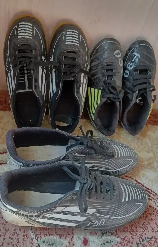 کیف وکفش|کیف، کفش، کمربند|دوگنبدان, |دیوار