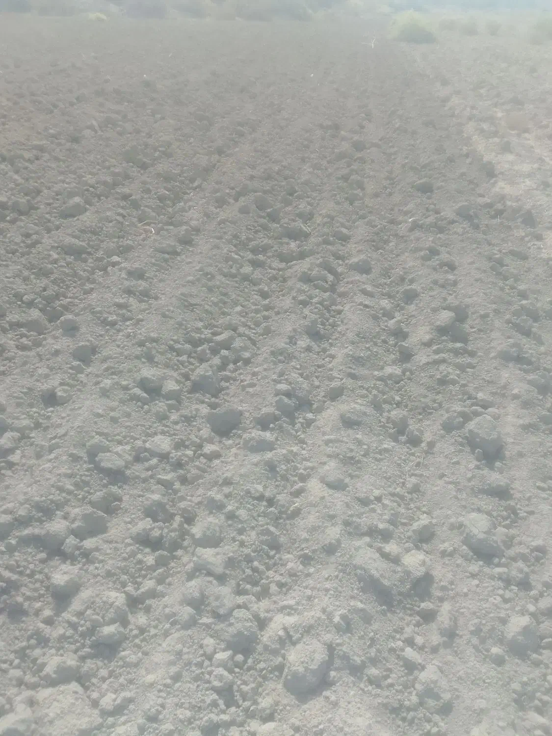 زمین کشاورزی|فروش دفتر صنعتی، کشاورزی، تجاری|جیرفت, |دیوار