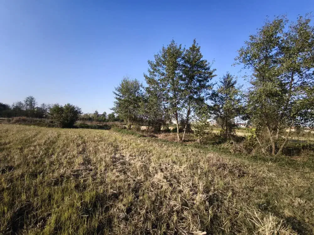 زمین۱۵۰۰متری در شهرستان فومن روستای نوگوراب|فروش زمین و ملک کلنگی|فومن, |دیوار