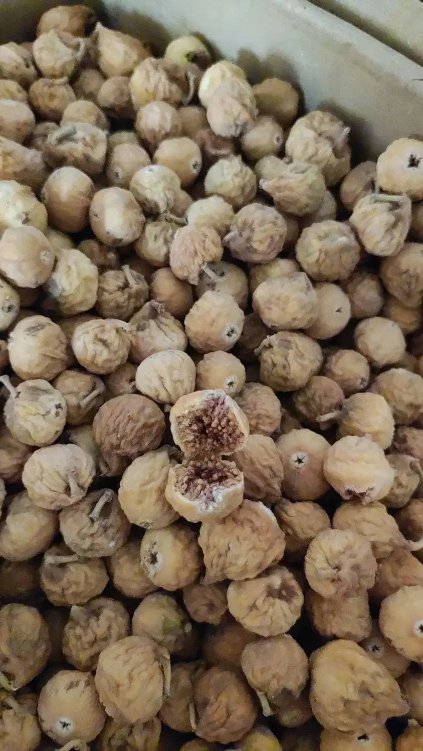 انجیر|خوردنی و آشامیدنی|شیراز, شهرک صادقیه|دیوار