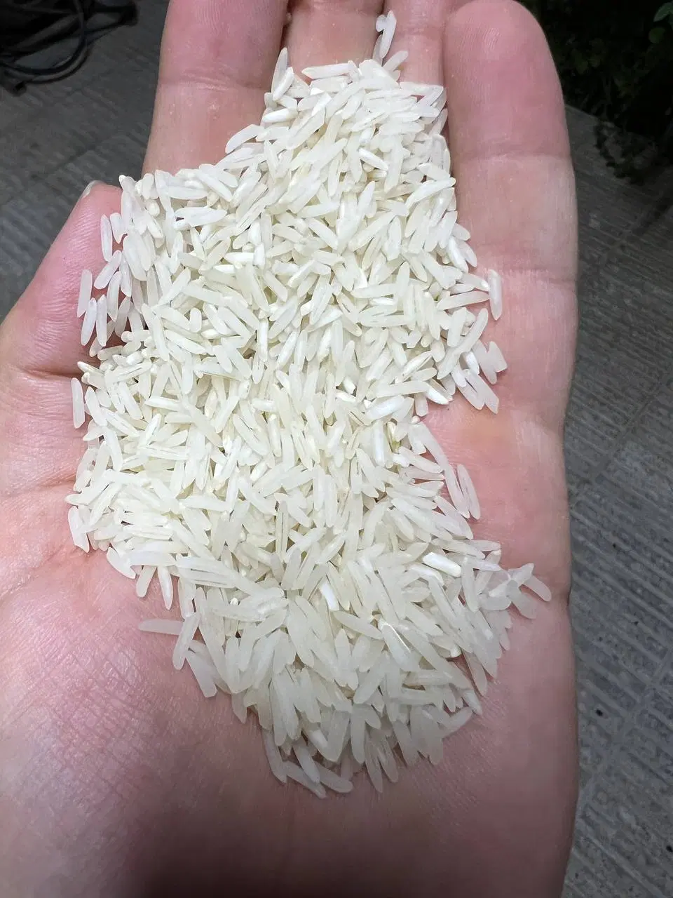 برنج|خوردنی و آشامیدنی|دامغان, |دیوار