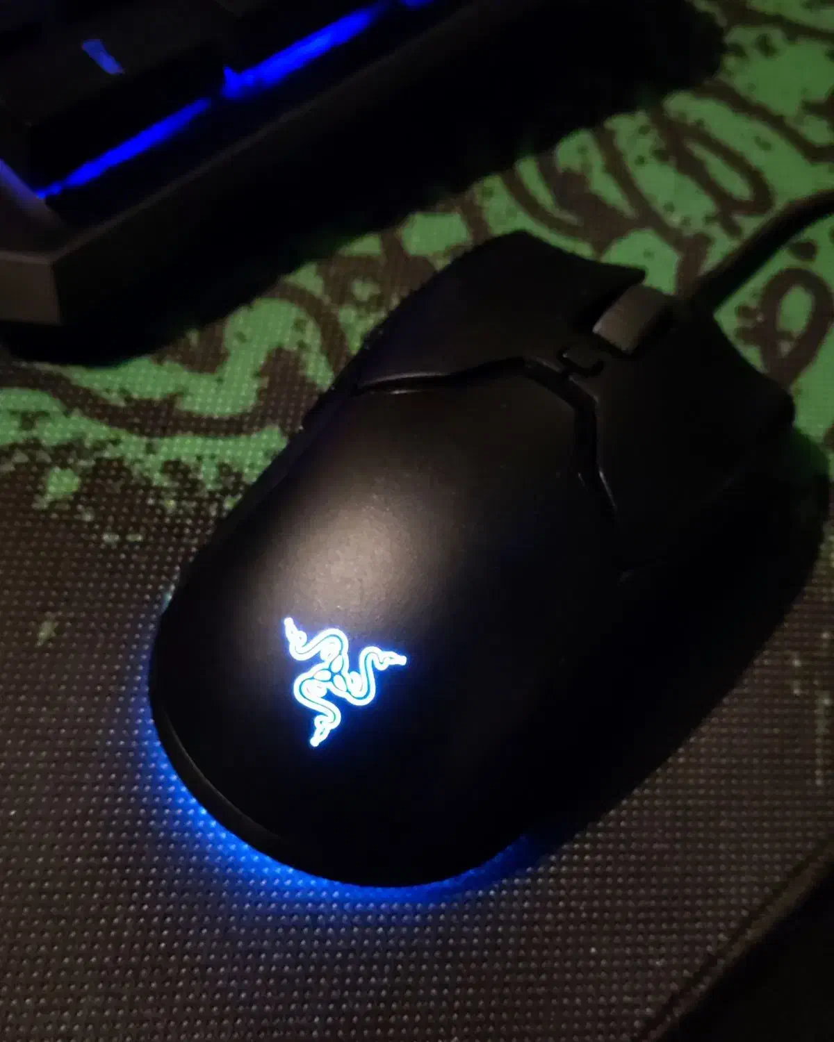 موس Mini Viper Razer نو|قطعات و لوازم جانبی رایانه|کرمان, |دیوار