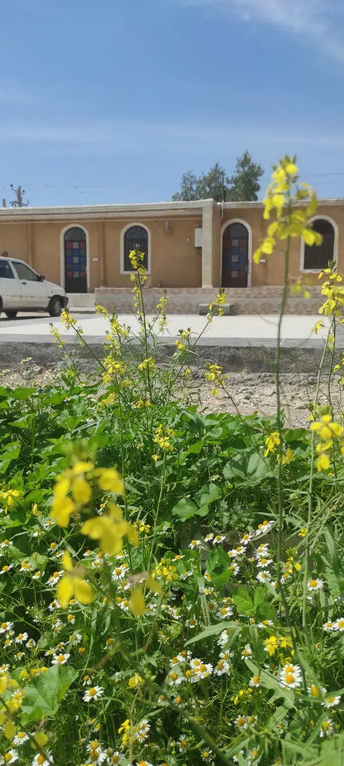 اقامتگاه بوم گردی نزدیک منگره|اجارهٔ کوتاهمدت ویلا و باغ|اندیمشک, |دیوار