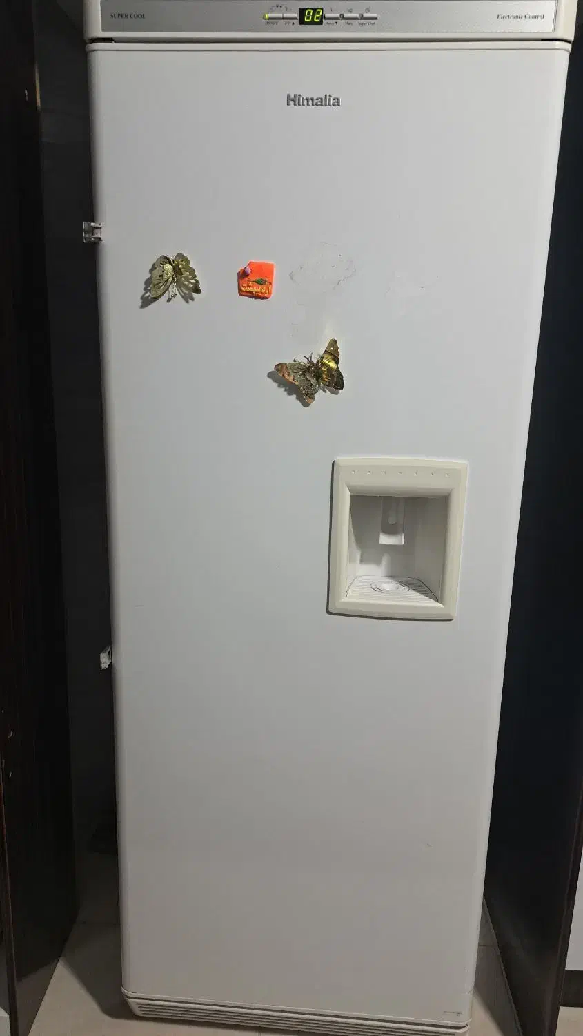 یخچال دوقولو|یخچال و فریزر|سبزوار, دانشگاه آزاد|دیوار