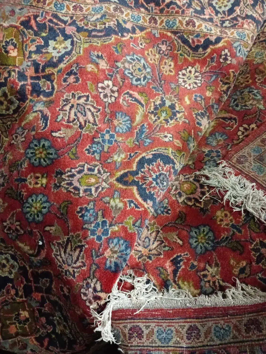 فرش دست بافت|فرش|رشت, منظریه|دیوار