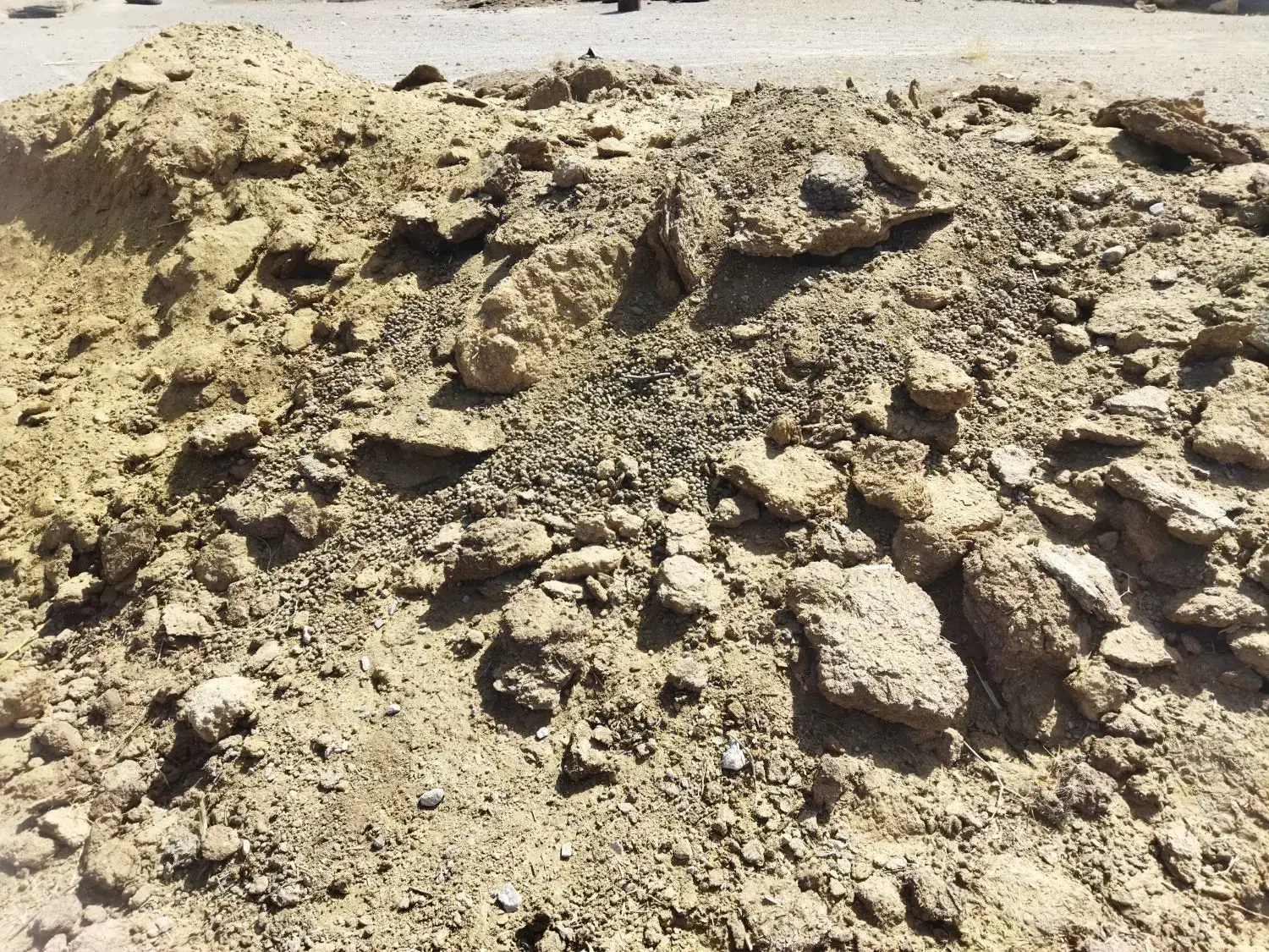 کود گوسفندی خالص برا باغ و گلخانه|خدمات باغبانی و درختکاری|خمینی‌شهر, |دیوار