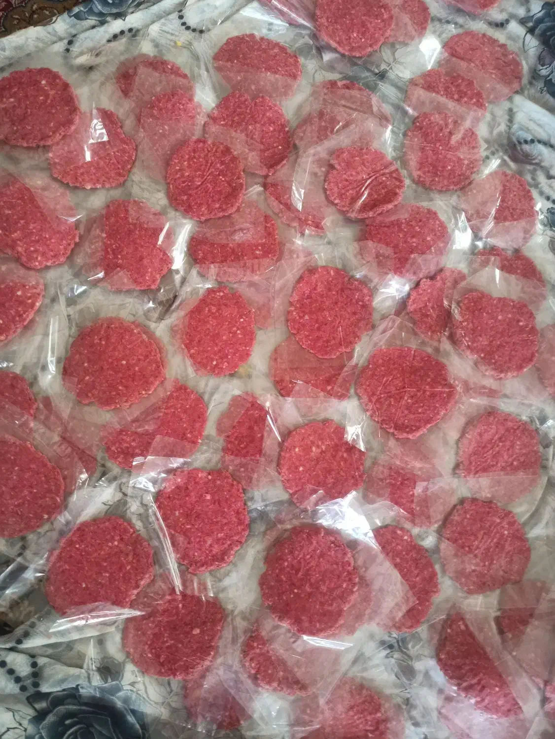 همبرگر گوشت دستی|خوردنی و آشامیدنی|شیراز, قلعه نو|دیوار