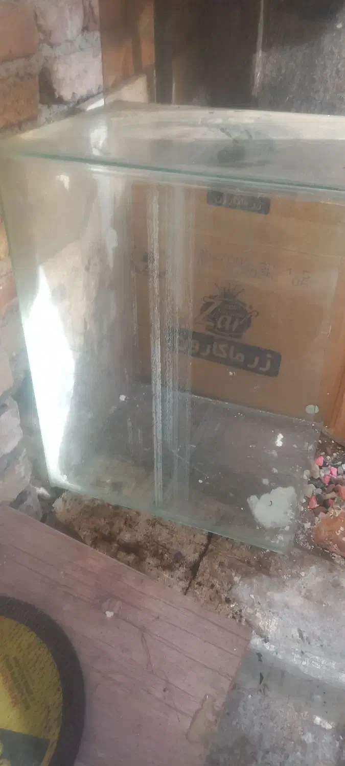 آکواریوم با وسایل|ماهی|سلماس, |دیوار