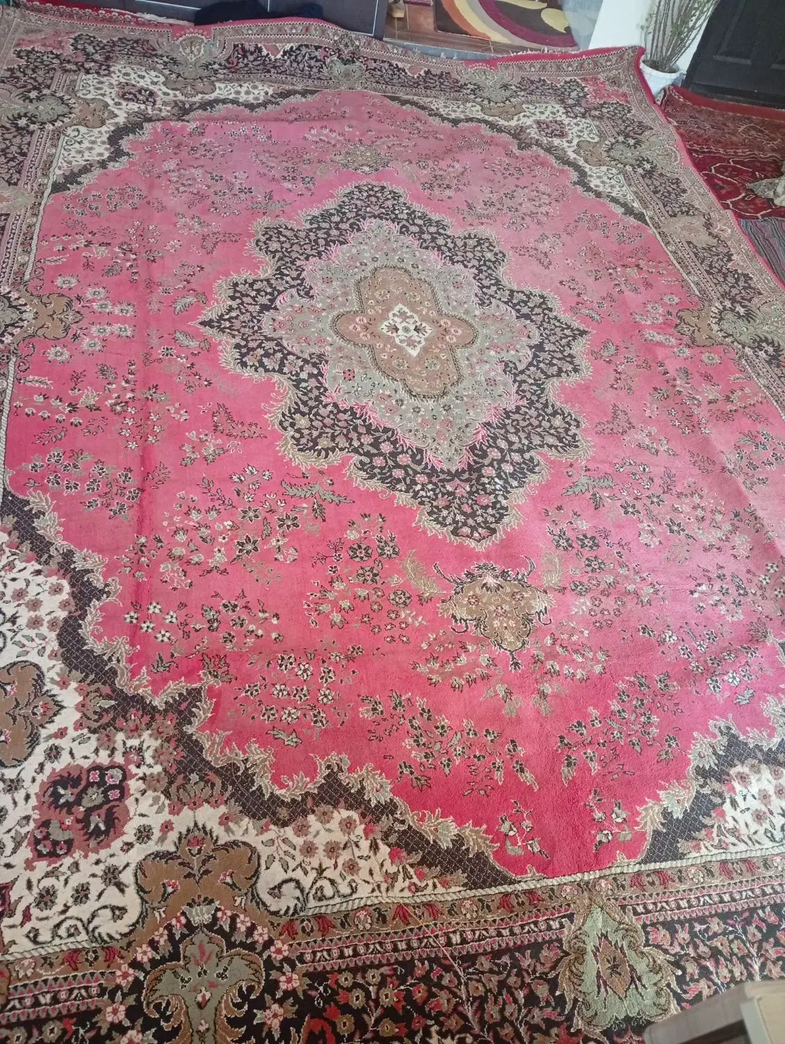 فرش  خوش رنگ|فرش|اهر, |دیوار