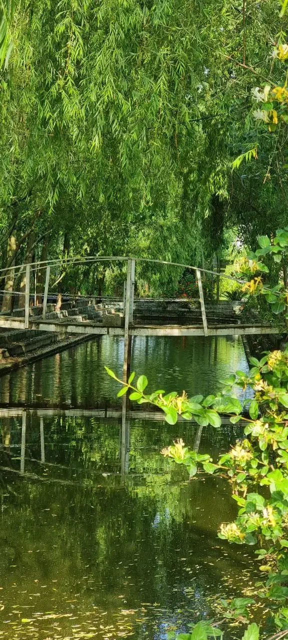 فروش کلبه با چشم اندازی زیبا|فروش خانه و ویلا|دلیجان, |دیوار