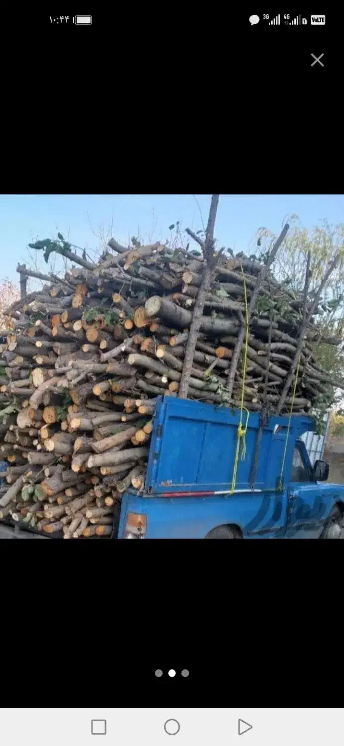 هرس کردن درختان وخرید درختان شما بابالاترین قیمت|خدمات باغبانی و درختکاری|خرمآباد, |دیوار