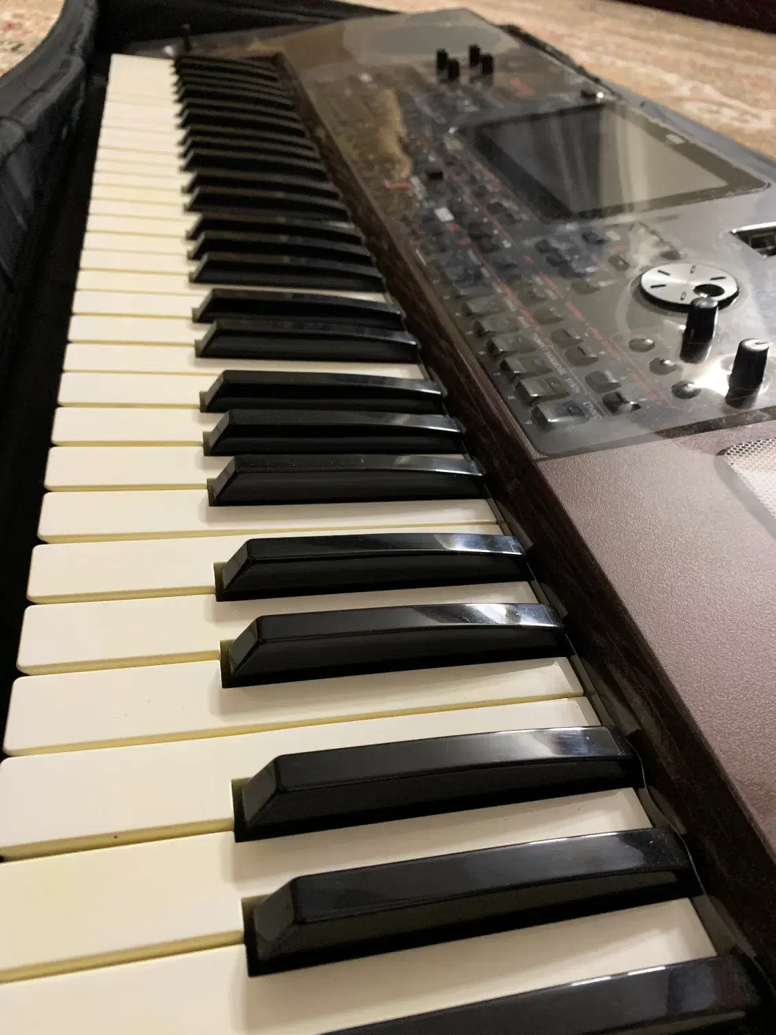 ارگ pa1000|پیانو، کیبورد، آکاردئون|بابل, |دیوار