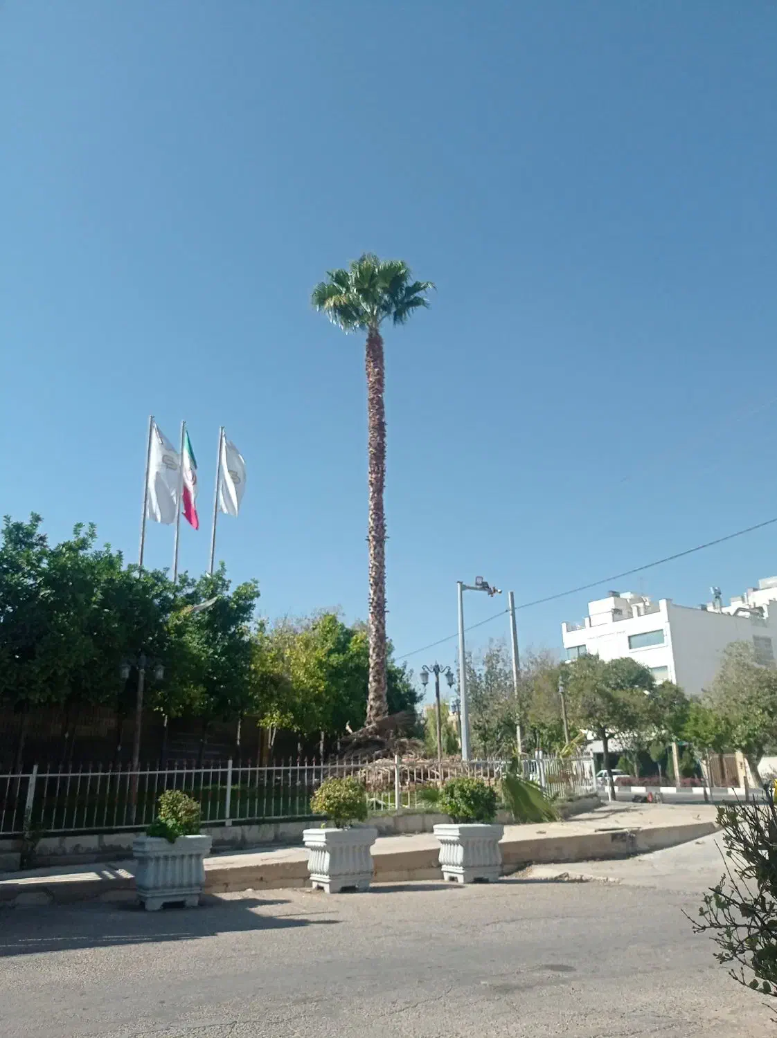 هرس.وبرش.|خدمات باغبانی و درختکاری|شیراز, شهرک گلستان|دیوار