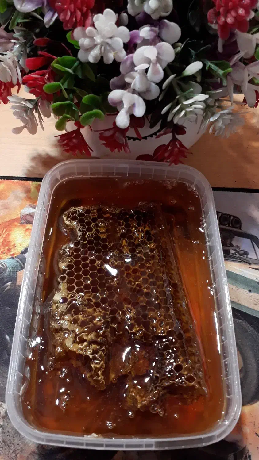 عسل کنار وحشی بشرط اصل|خوردنی و آشامیدنی|رامشیر, |دیوار