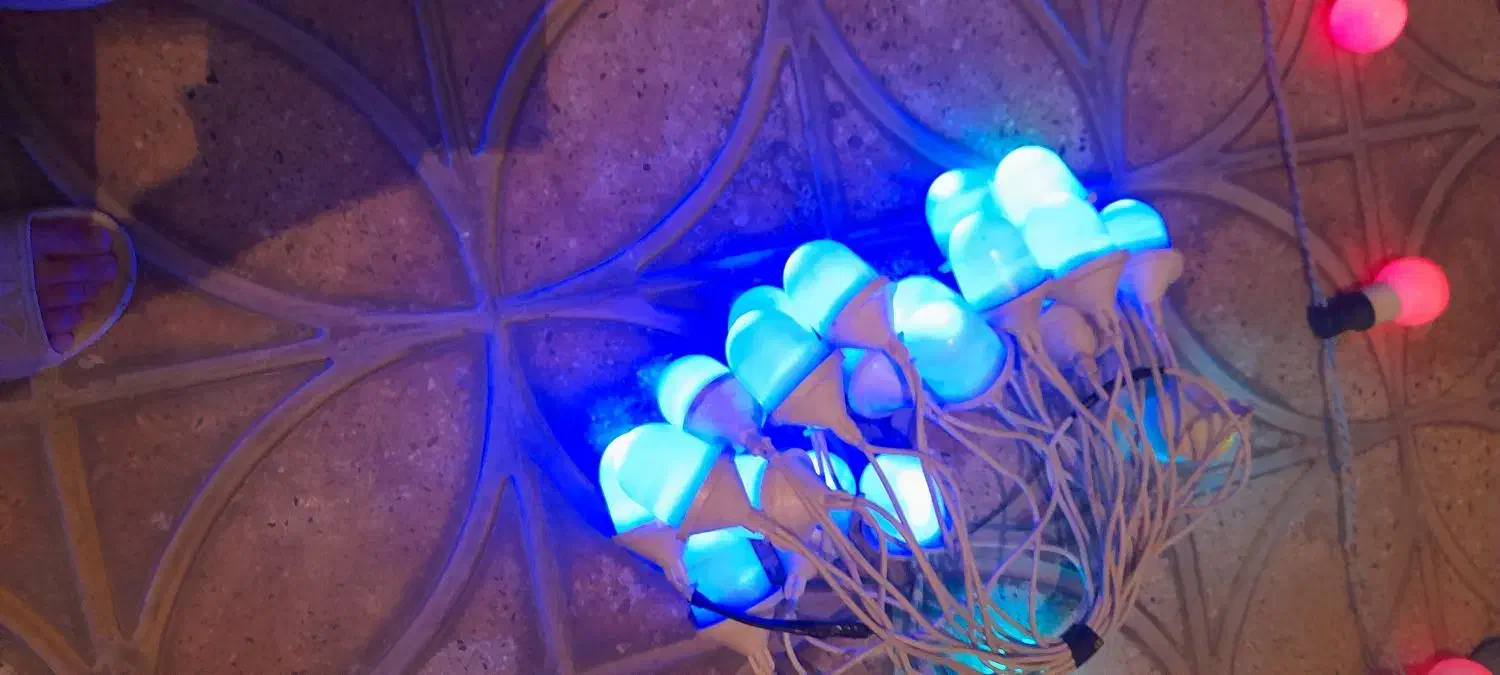 لامپ ریسه ای مناسب برای باغ و عروسی|ریسه و چراغ تزئینی|اسدآباد, |دیوار