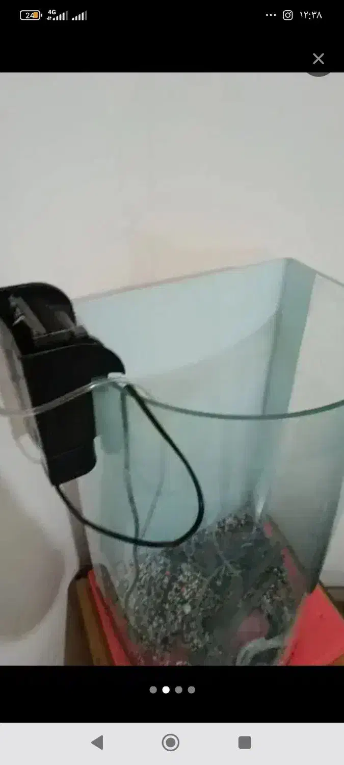 آکواریوم منحنی بزرگ|ماهی|پرند, فاز ۶|دیوار