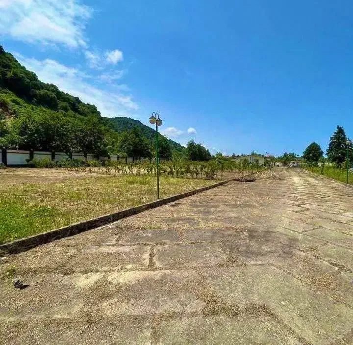 ۲۰۰مترملک توشهرک جنگلی منطقه برندباسندتکبرگ/شرایطی|فروش زمین و ملک کلنگی|آمل, |دیوار