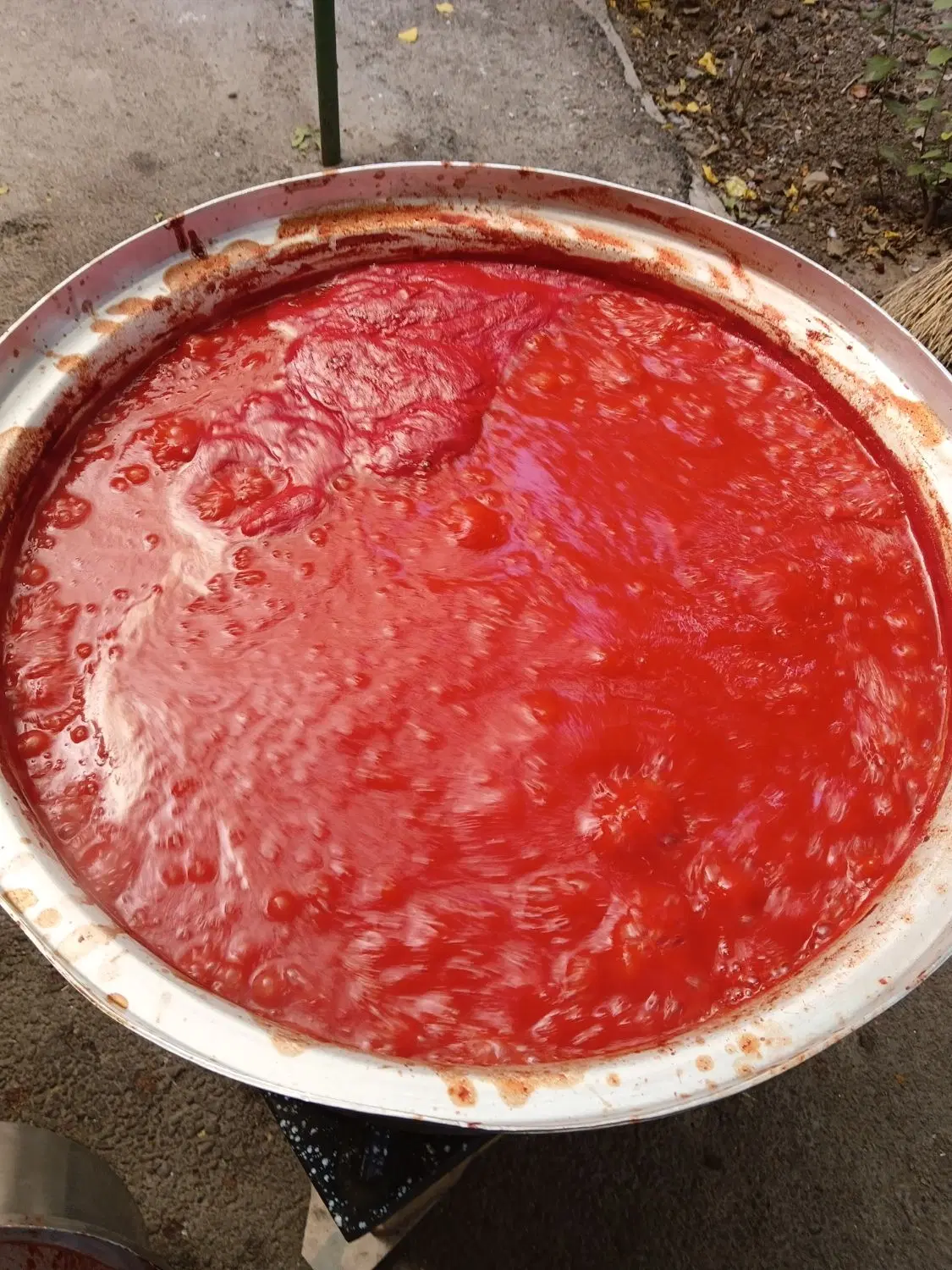 رب خانگی|خوردنی و آشامیدنی|تبریز, |دیوار