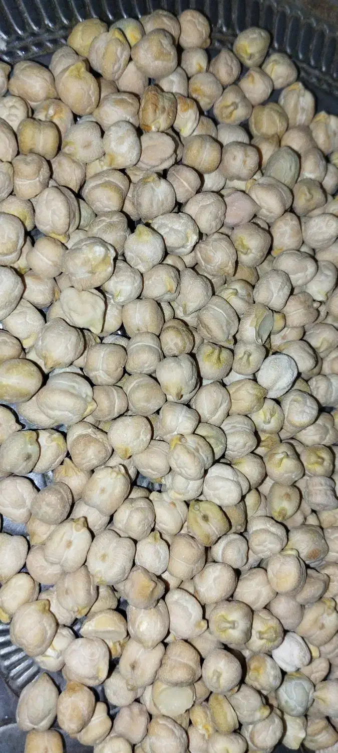 نخود بذری|گل و گیاه طبیعی|فیروزآباد (لرستان), |دیوار