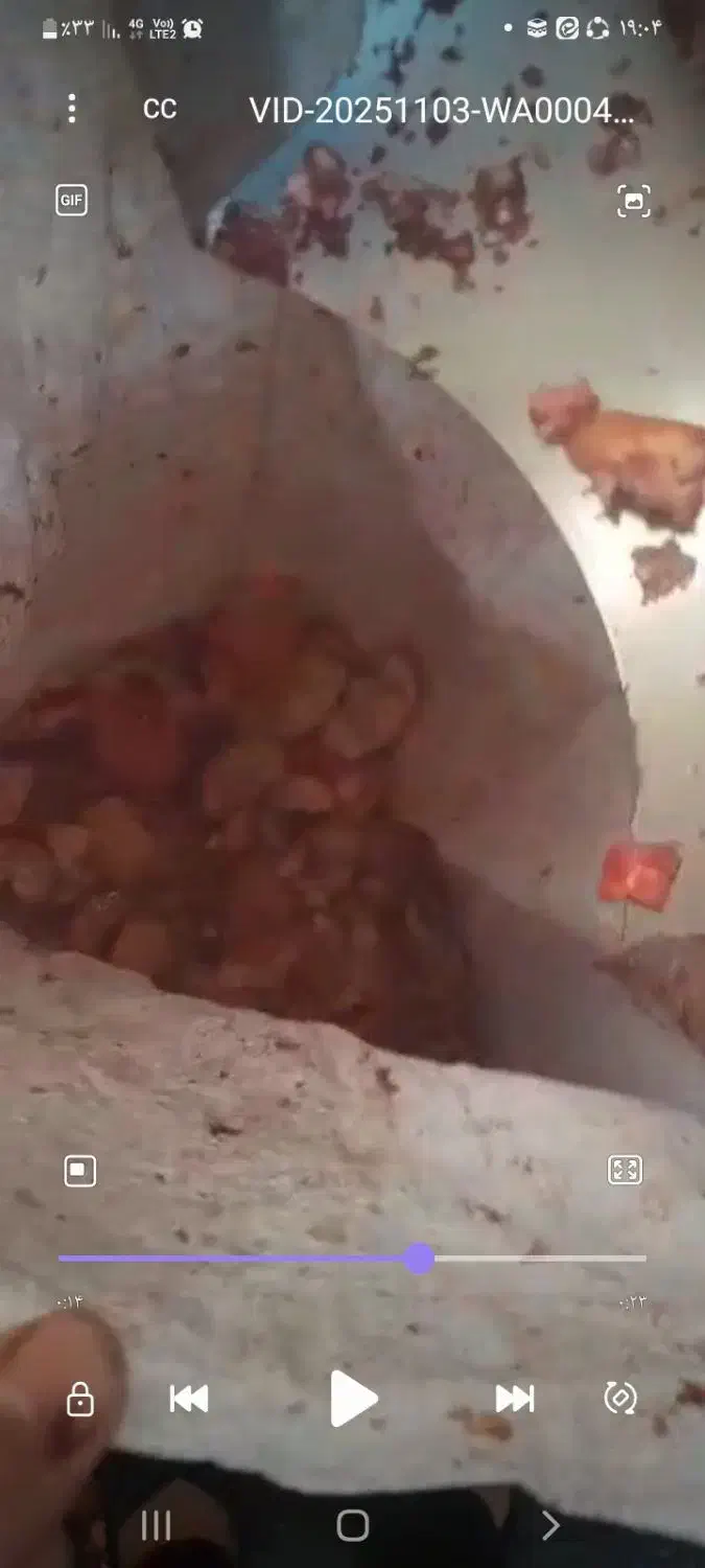 انار دانه کن و ابگیری|خدمات پذیرایی، مراسم|زارچ, |دیوار