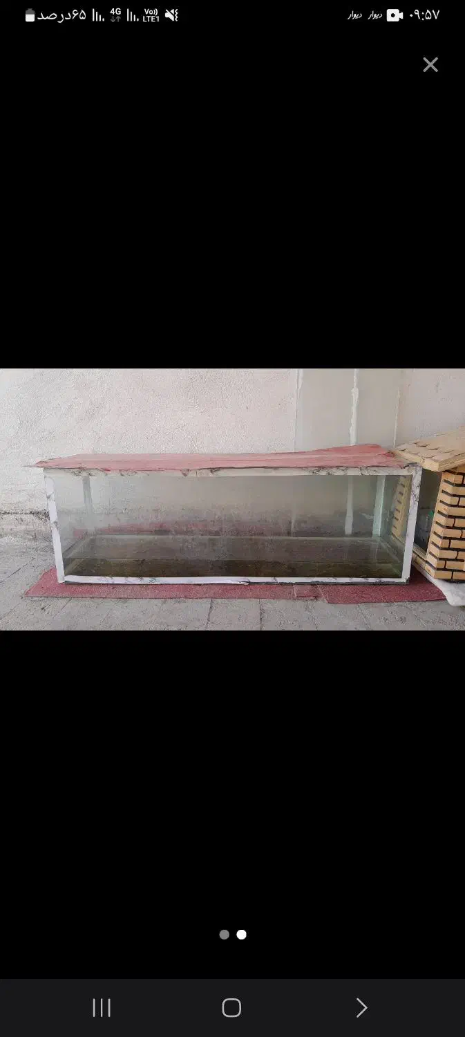 آکواریم کلبه ای و آکواریم بزرگ  ماهی فوری فوری|ماهی|قم, شهرک مهدیه (مدرس)|دیوار