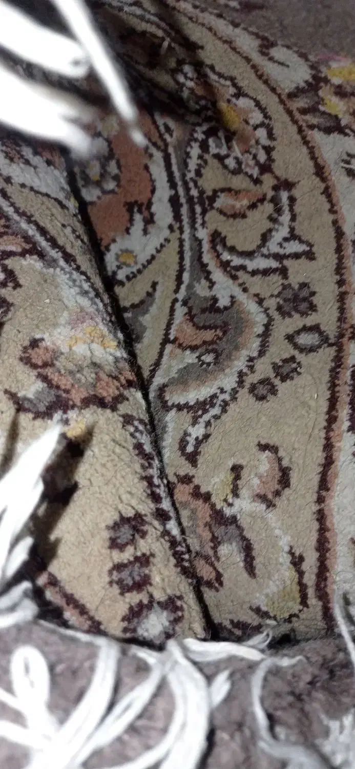 فرش ۱۲ متری گردویی سالم|فرش|خاوران, |دیوار