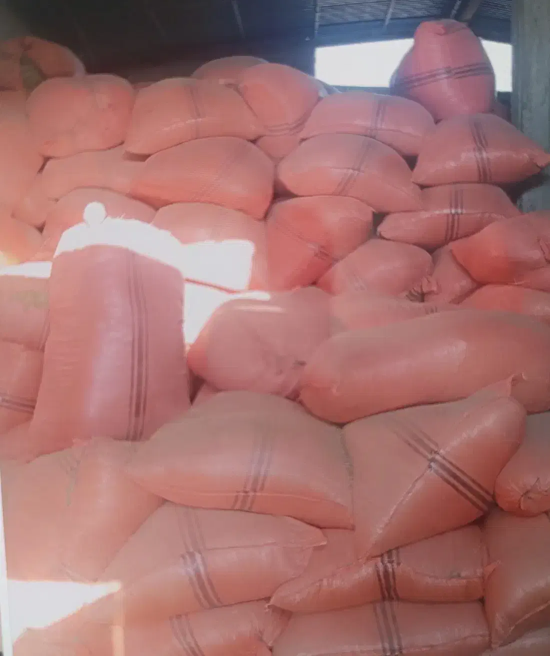 یونجه خرد شده یا کوفته|حیوانات مزرعه|مرودشت, بیست متری بیمارستان|دیوار