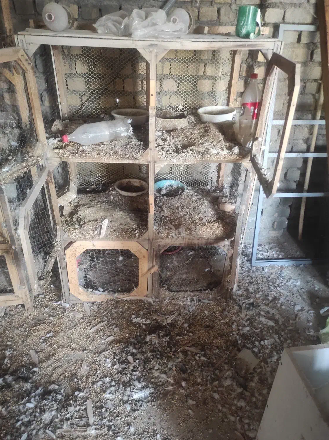 جفتگاه چوبی کبوتر|لوازم جانبی حیوانات|طرقبه, |دیوار