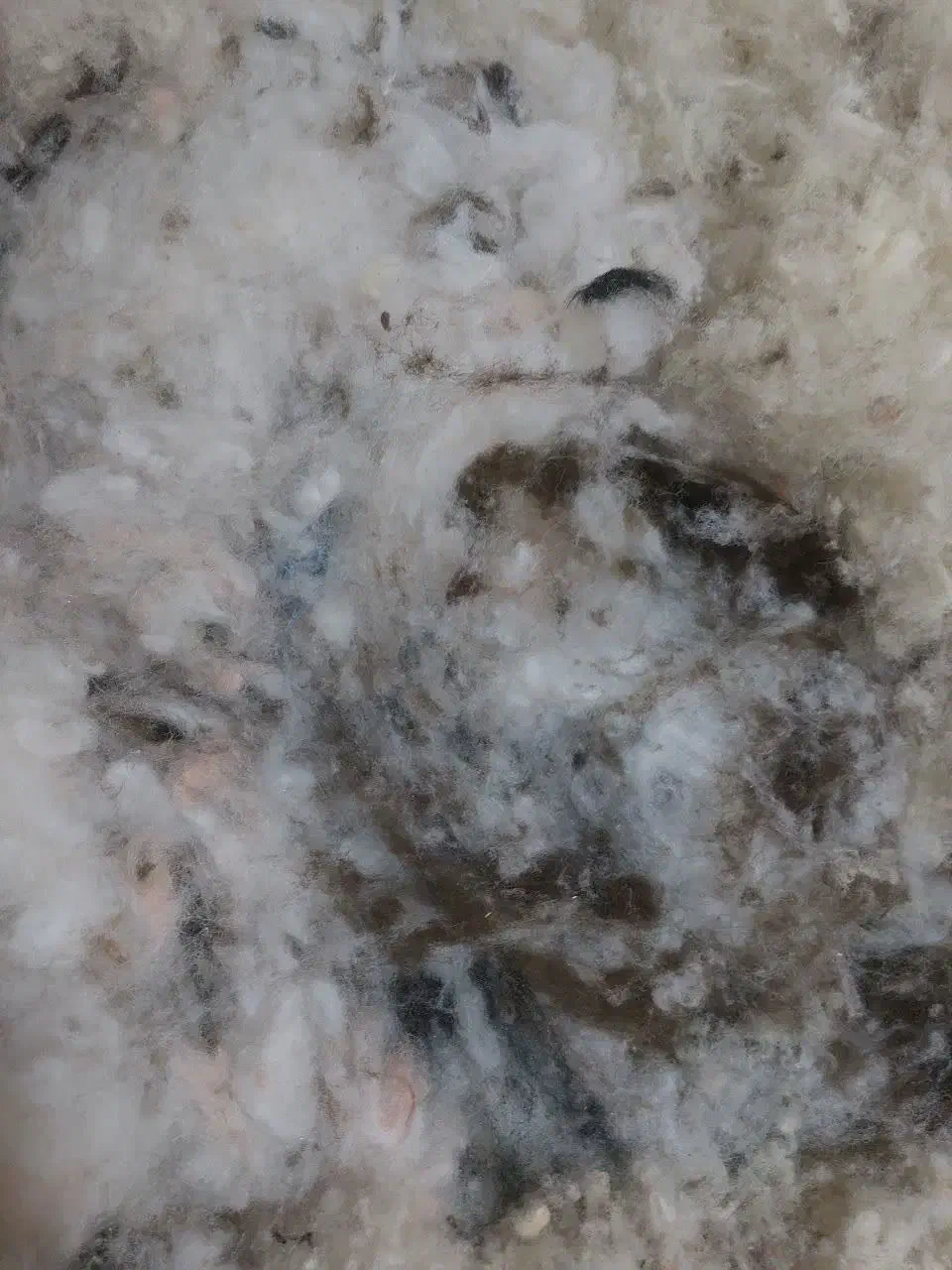 پنبه زنی در مهرشهر|تشک تختخواب|بیرجند, |دیوار