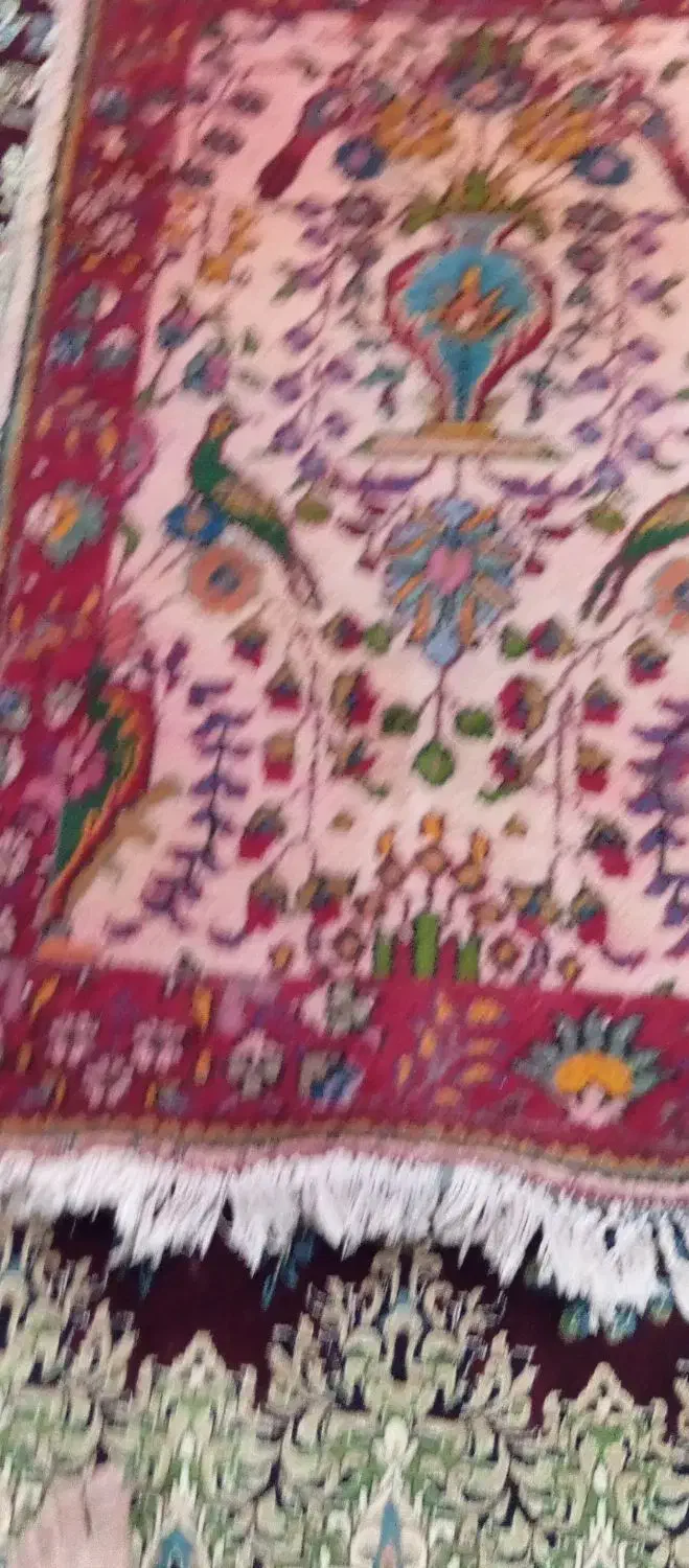 فرش دستباف قدیمی|فرش|زاهدان, |دیوار