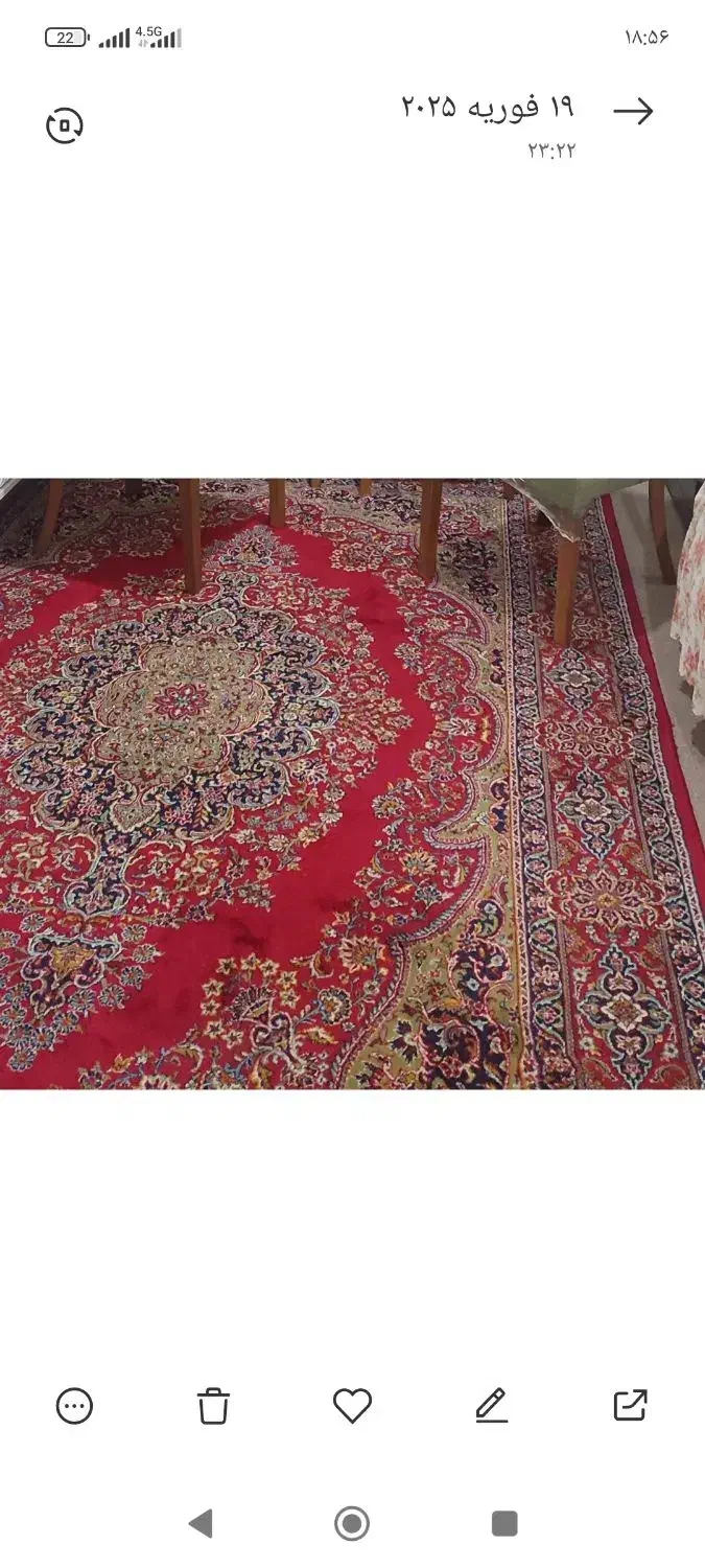 فرش 6متری تمام نخ|فرش|شیراز, لشکری‎|دیوار