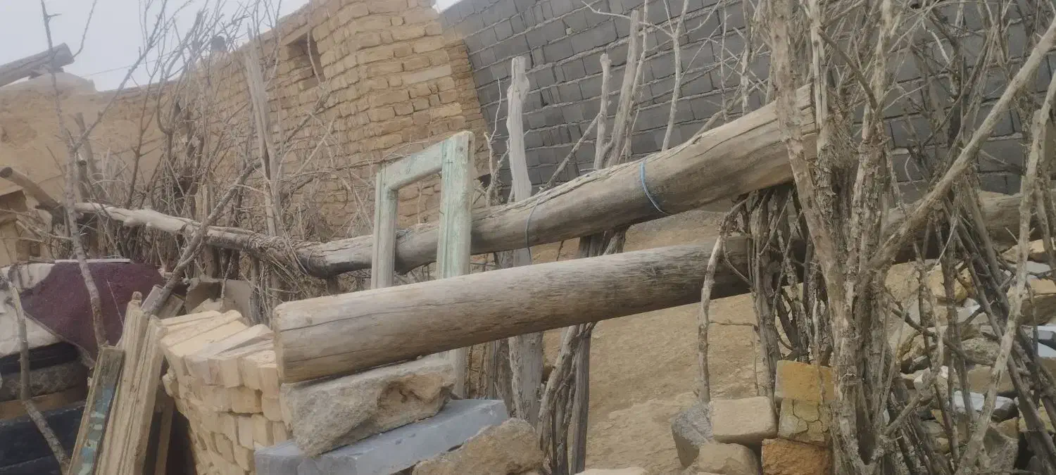 خریدار چوب|خدمات باغبانی و درختکاری|رباط‌کریم, الارد|دیوار