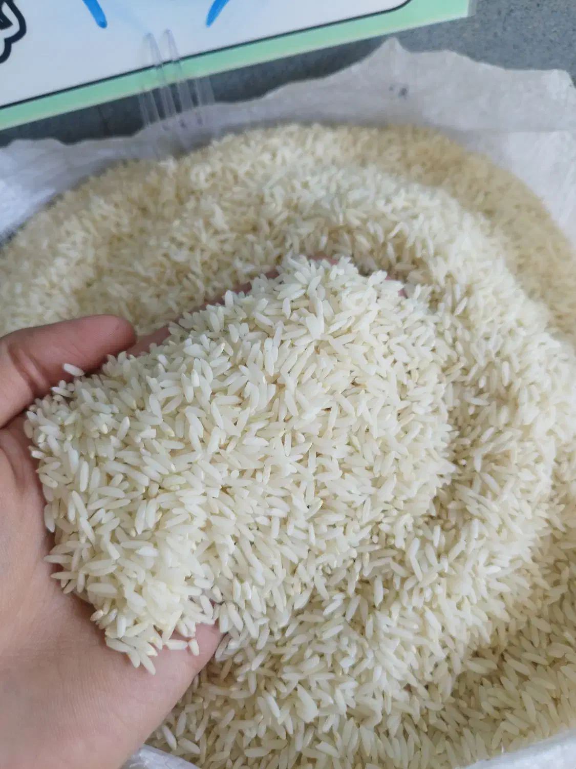 برنج مَمان میانه و حصارمشپا و علی کاظمی (امسال)|خوردنی و آشامیدنی|زنجان, |دیوار