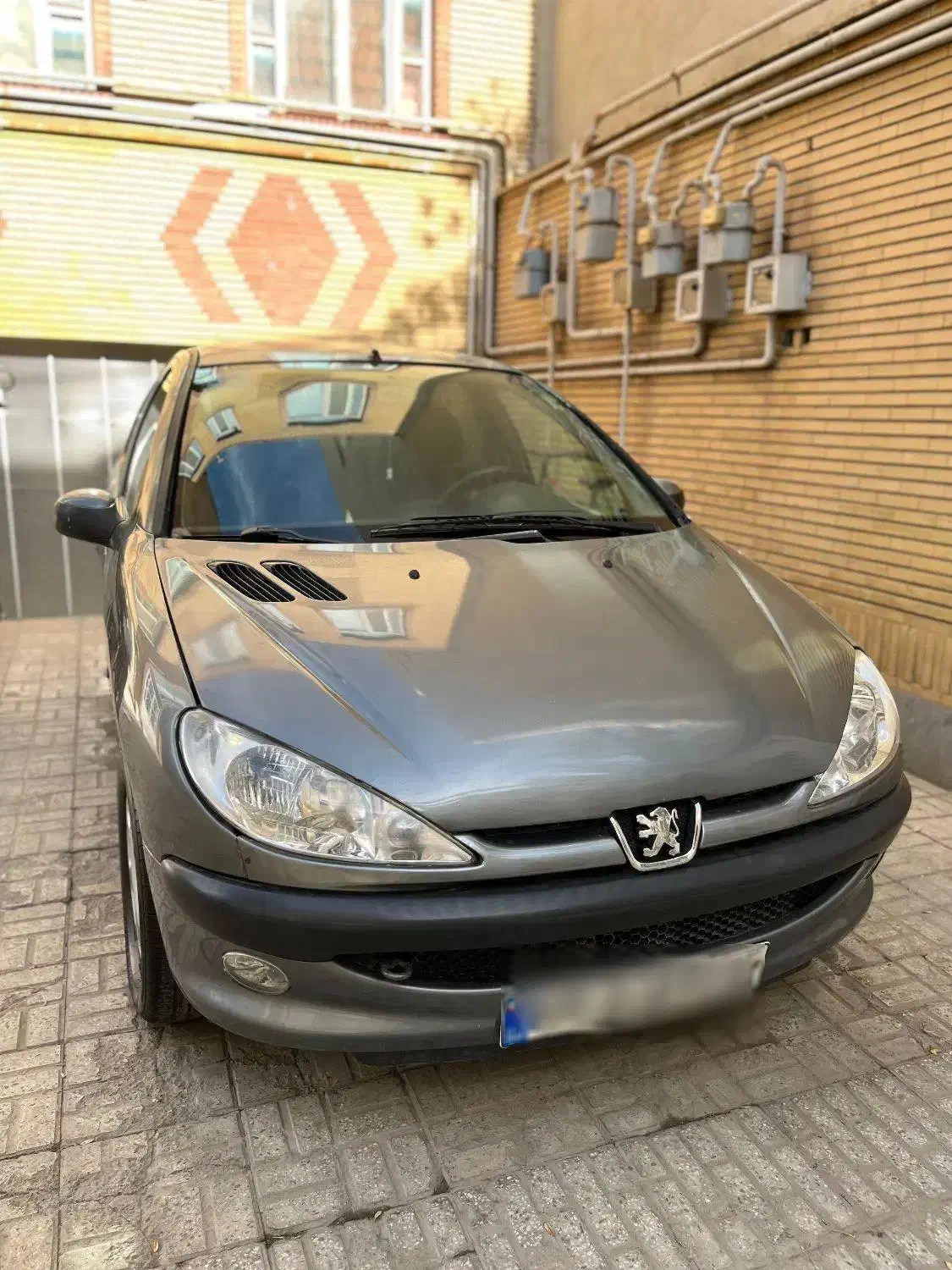 ۲۰۶ دلفینی|خودرو سواری و وانت|اراک, |دیوار