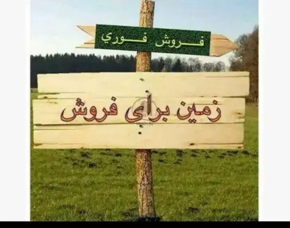 فروش 1000متر زمین درباشت|فروش زمین و ملک کلنگی|باشت, |دیوار