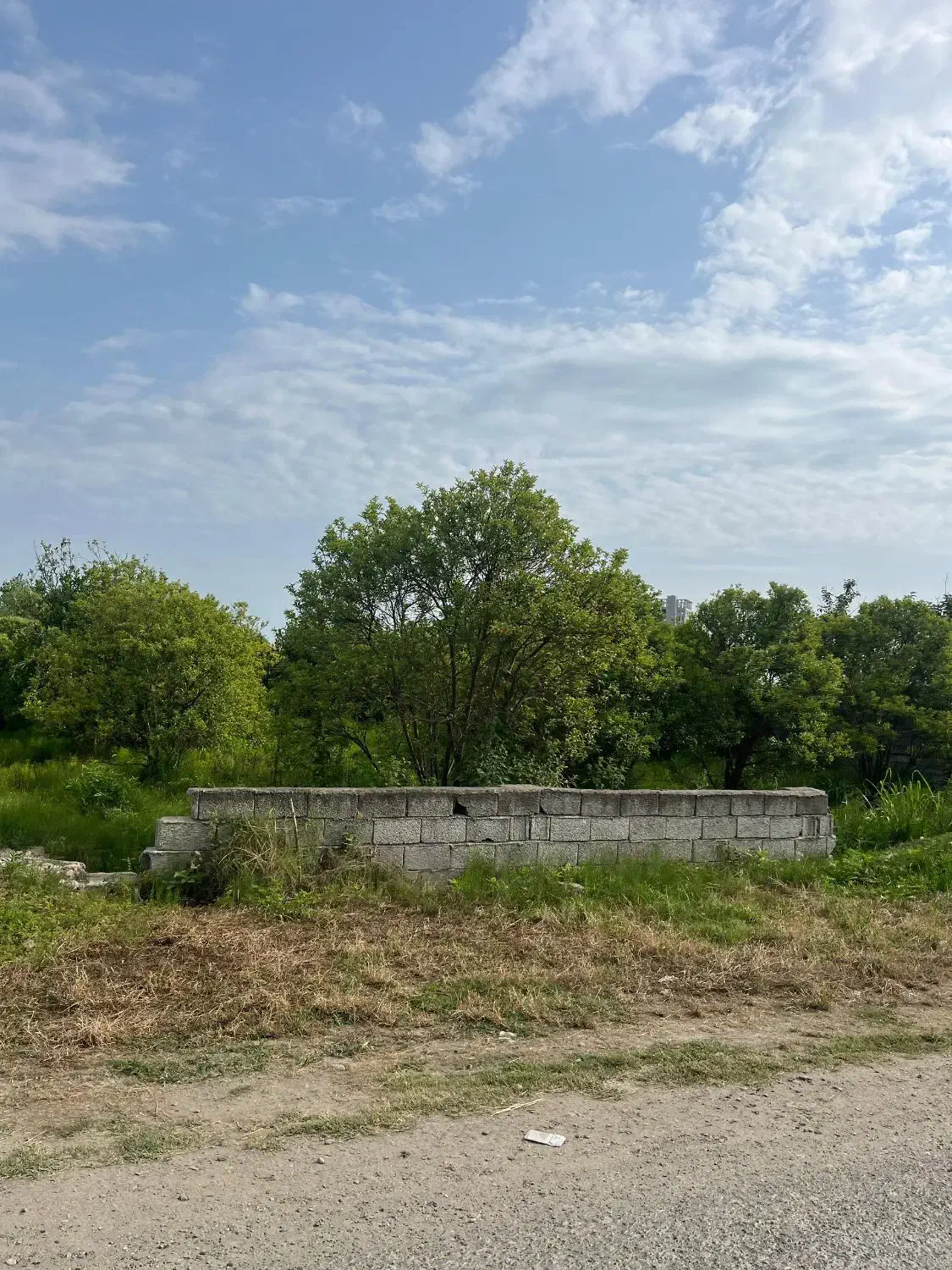 فرروش زمین ۲۸۰ متری در همت آباد|فروش زمین و ملک کلنگی|شیرود, |دیوار