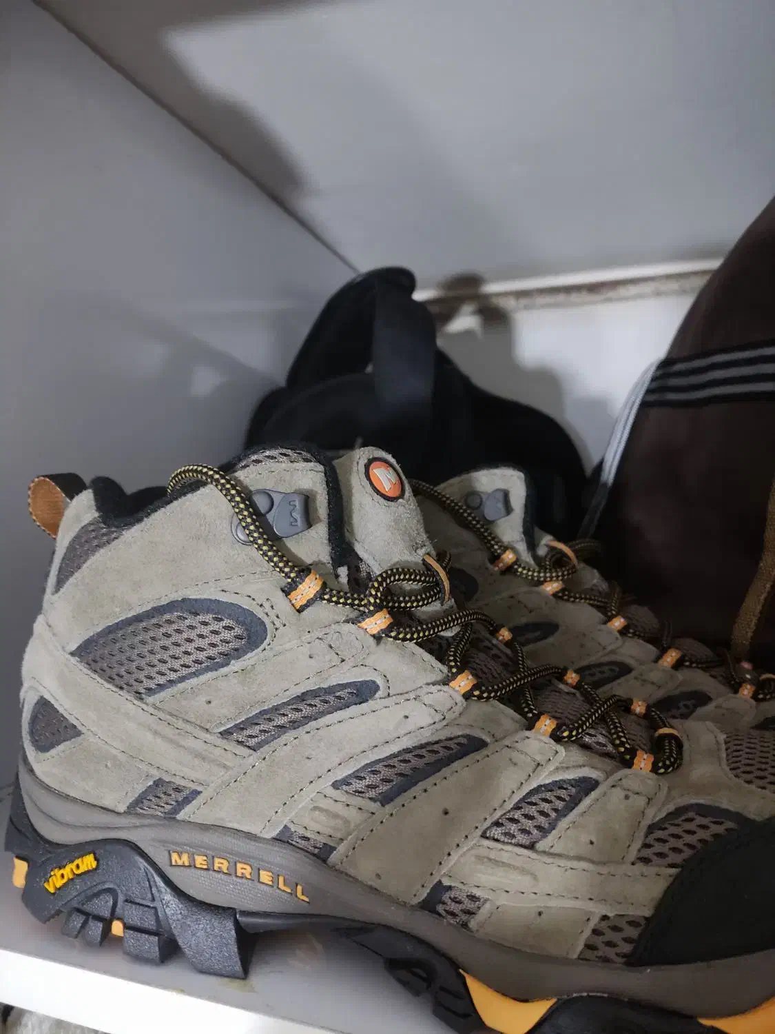 کفش مرل|کیف، کفش، کمربند|مشهد, نظام دوست|دیوار