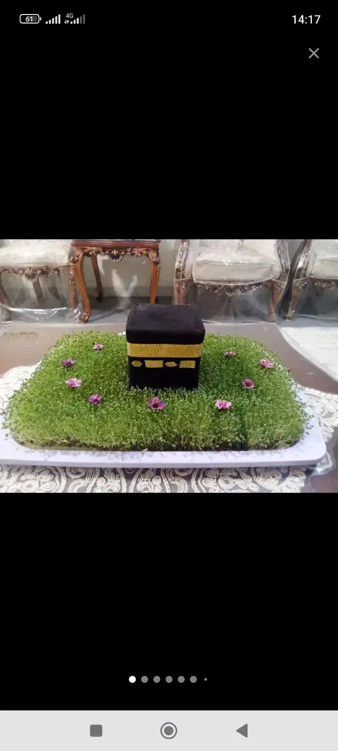 انواع سبزه برای هرمراسمی|گل و گیاه طبیعی|صحنه, |دیوار