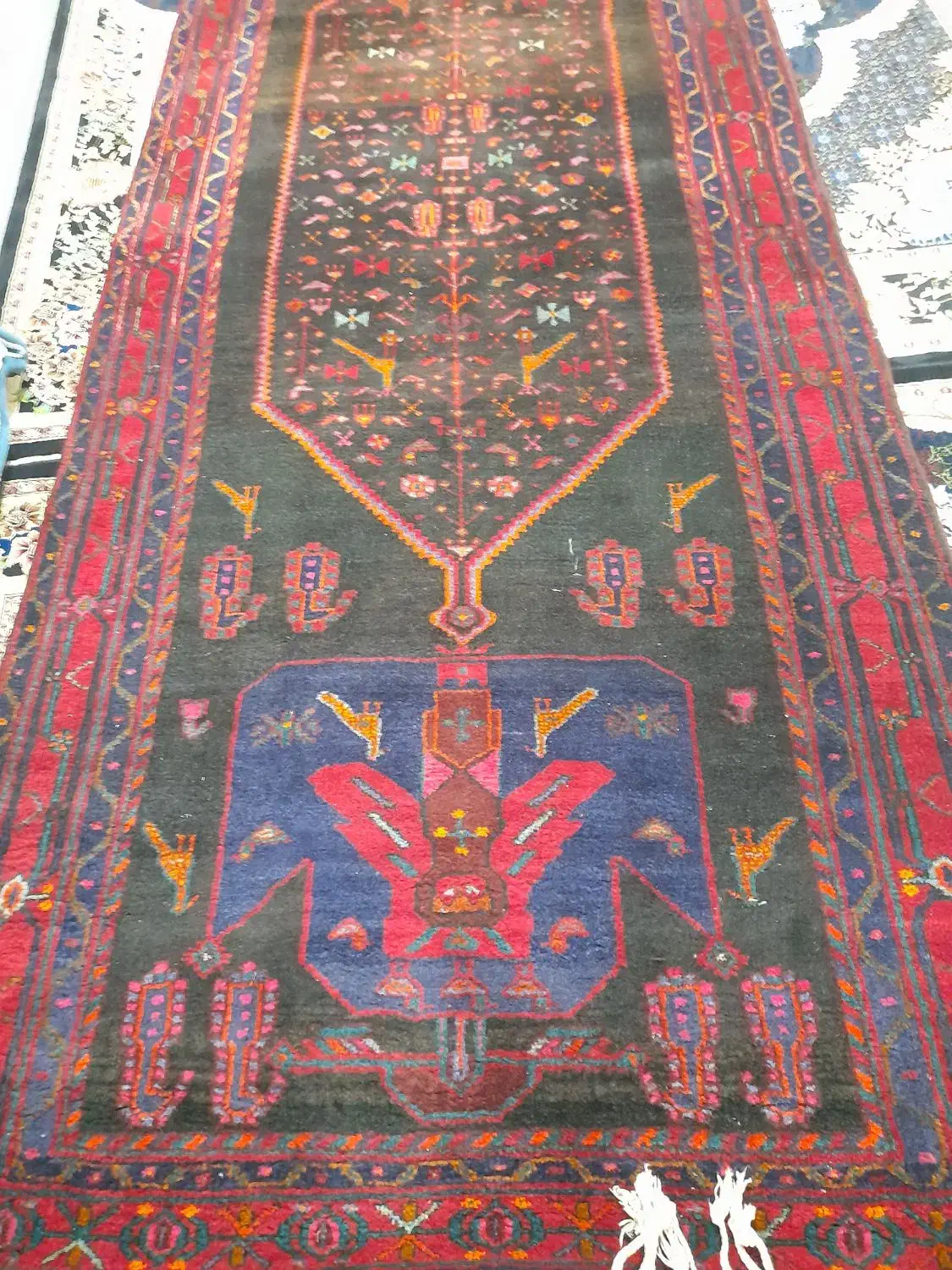 فرش طبیعی|فرش|میاندوآب, |دیوار