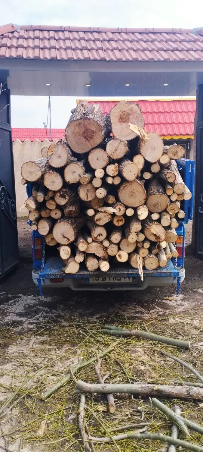 خرید چوب باغات|خدمات باغبانی و درختکاری|چناران, |دیوار