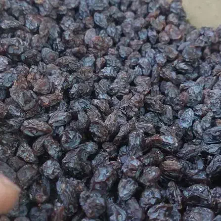 مویز کشمش شیراز|خوردنی و آشامیدنی|اصفهان, شهرک ولیعصر|دیوار