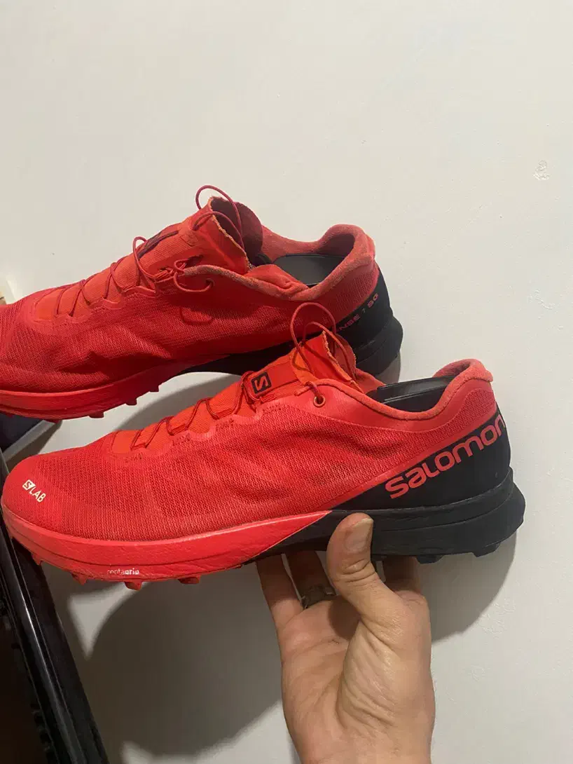 سالامون لاب اورجینال|کیف، کفش، کمربند|قم, باجک یک|دیوار