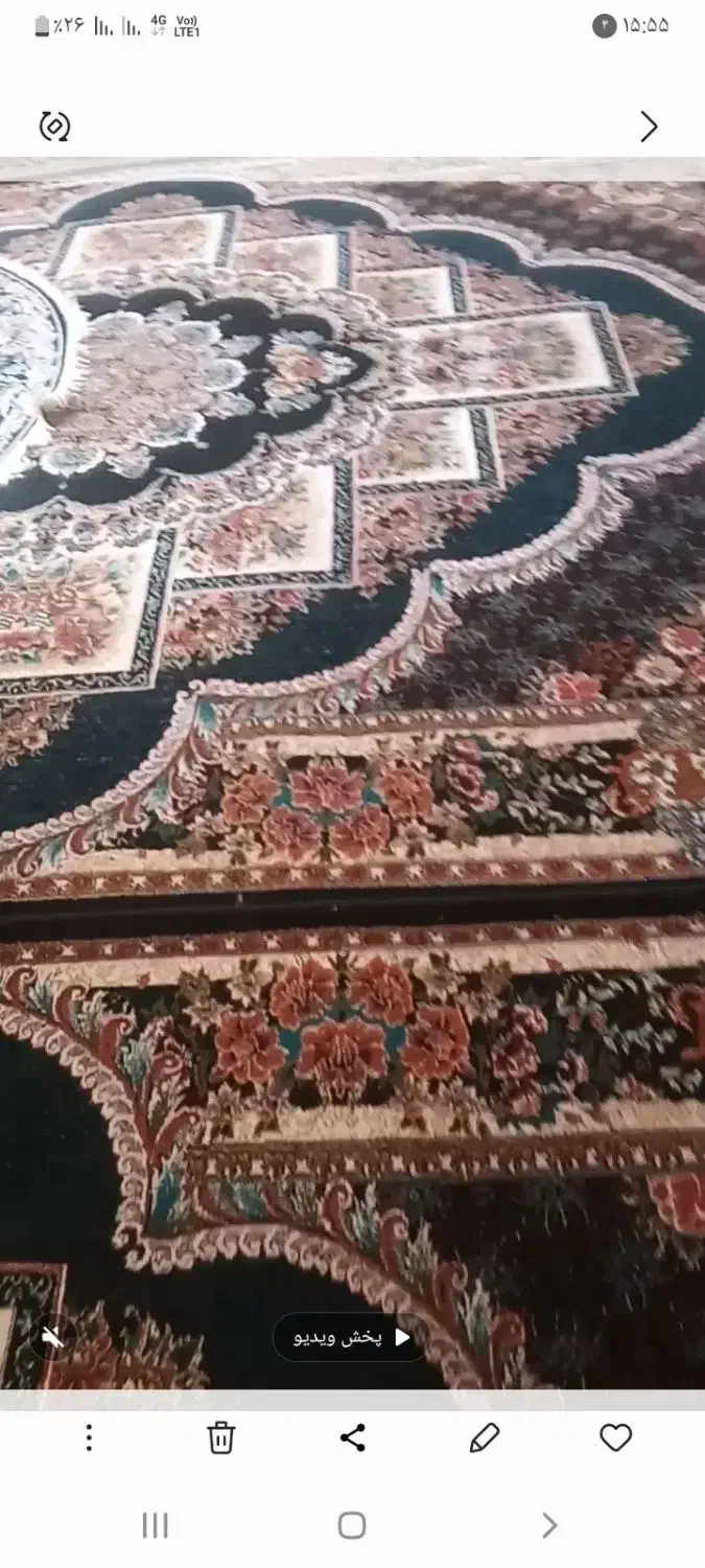 فرش ۱۲ متری|فرش|شوشتر, |دیوار