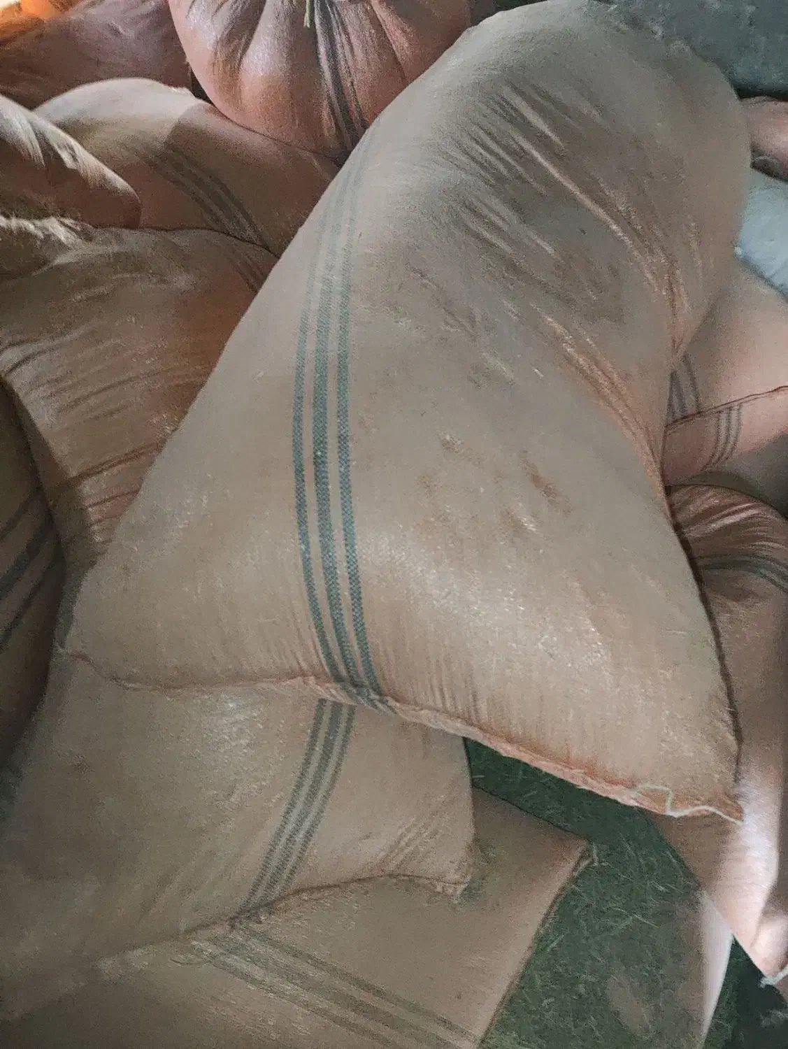 کاه|لوازم جانبی حیوانات|ایلام, |دیوار