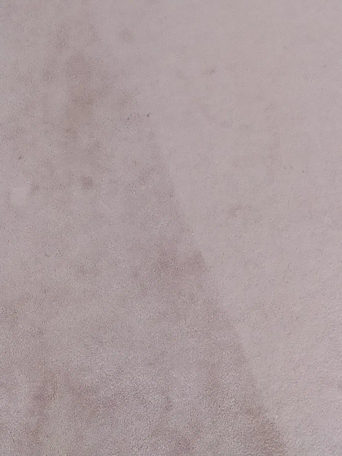 موکت|موکت|کرمانشاه, |دیوار