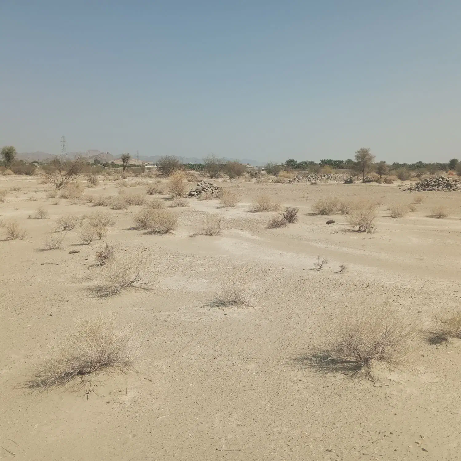 فروش زمین|فروش زمین و ملک کلنگی|قصرقند, |دیوار