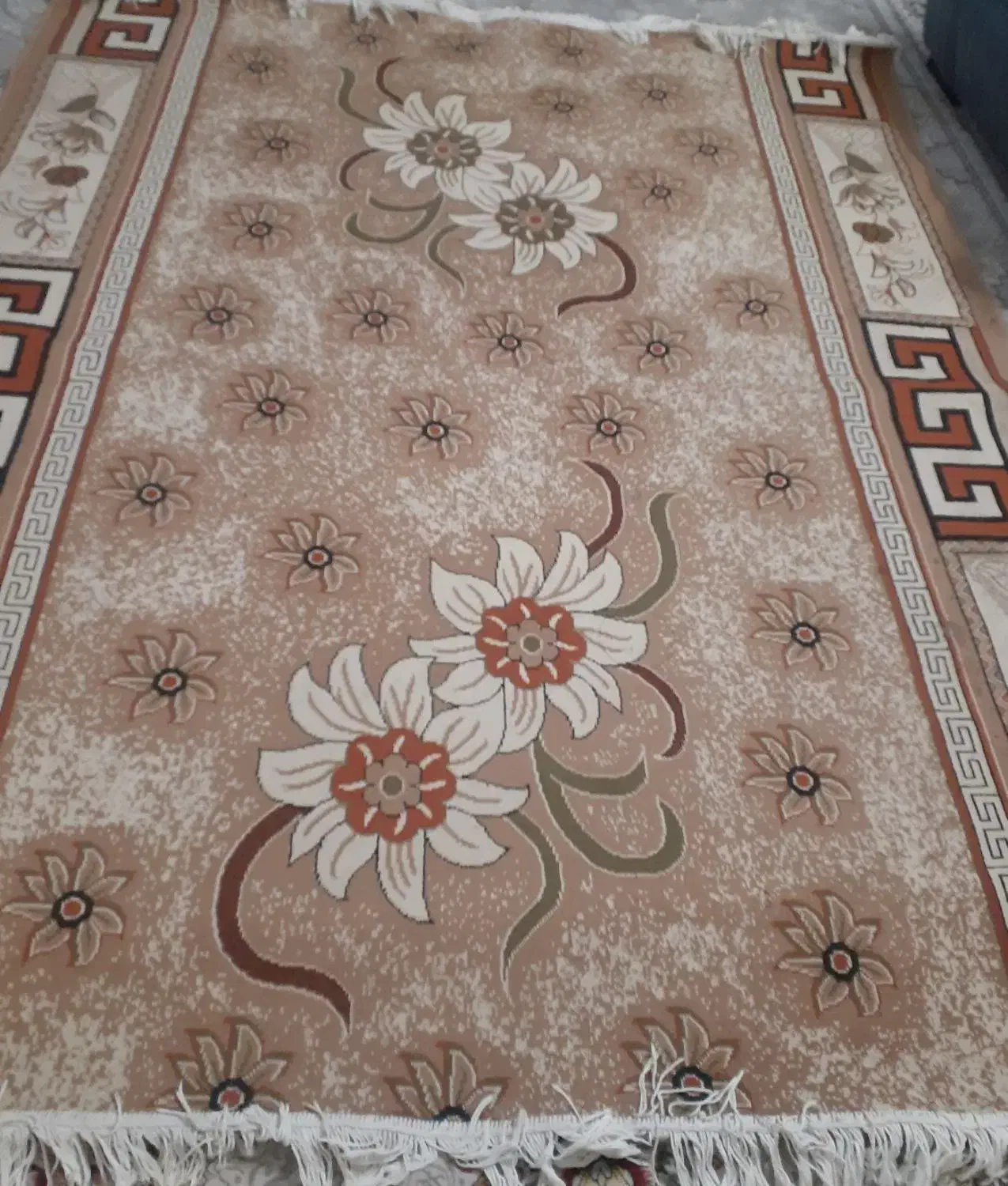 فرش متری|فرش|نیشابور, شهرک فیروزه|دیوار