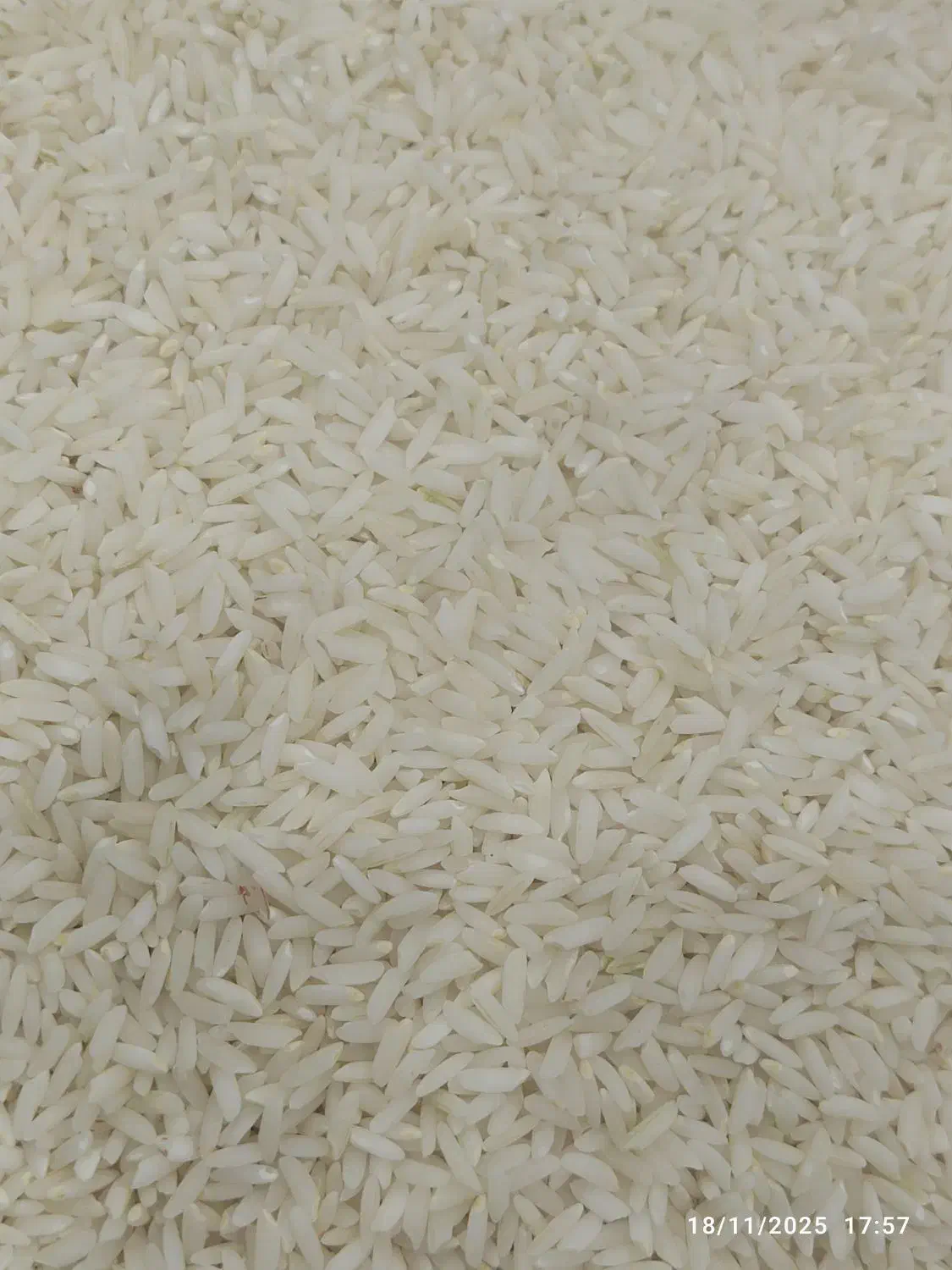 برنج محلی درجه یک دورود|خوردنی و آشامیدنی|دورود, |دیوار