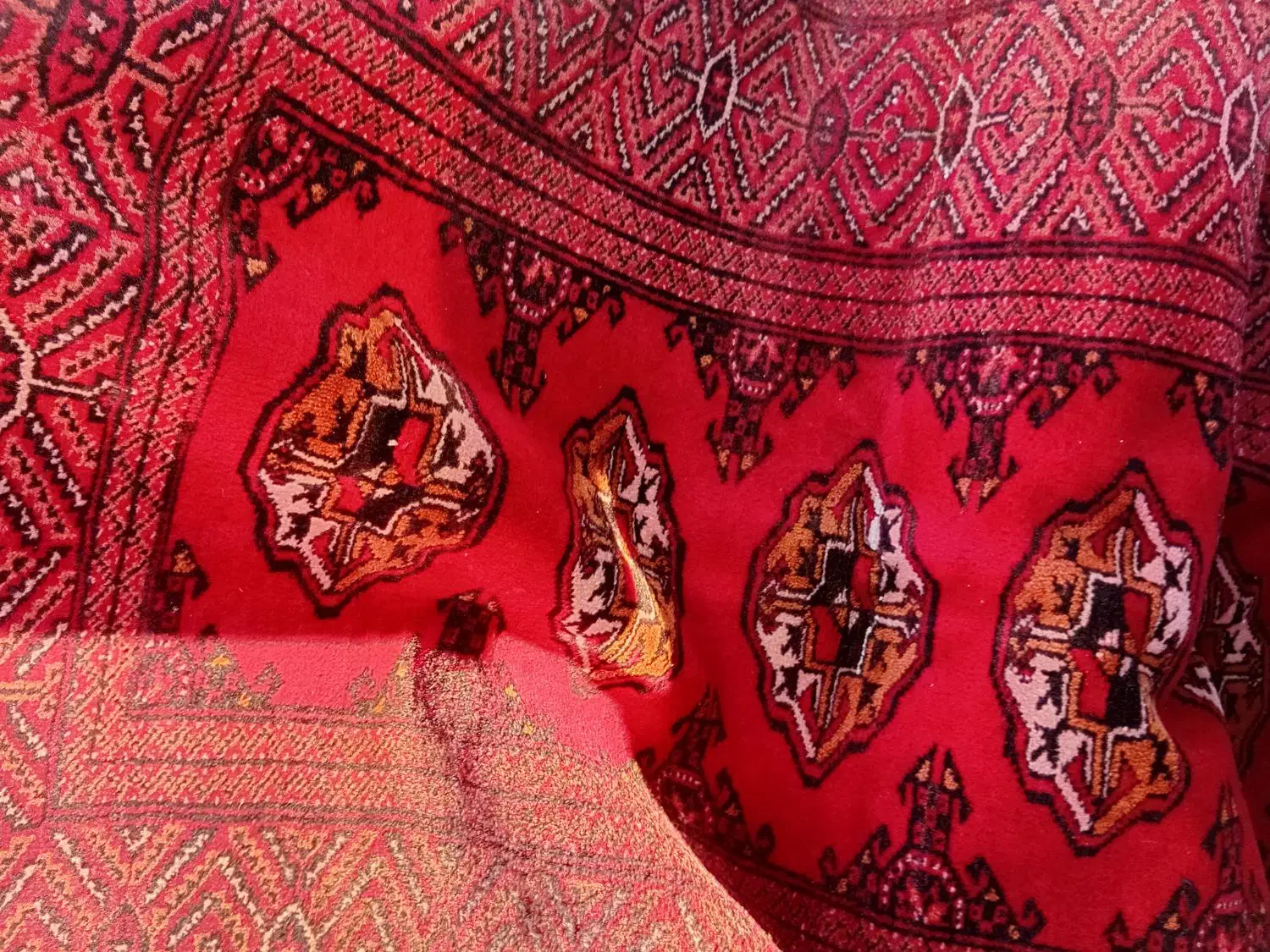 قالیچه دست بافت ترکمنی|فرش|بندر ترکمن, |دیوار