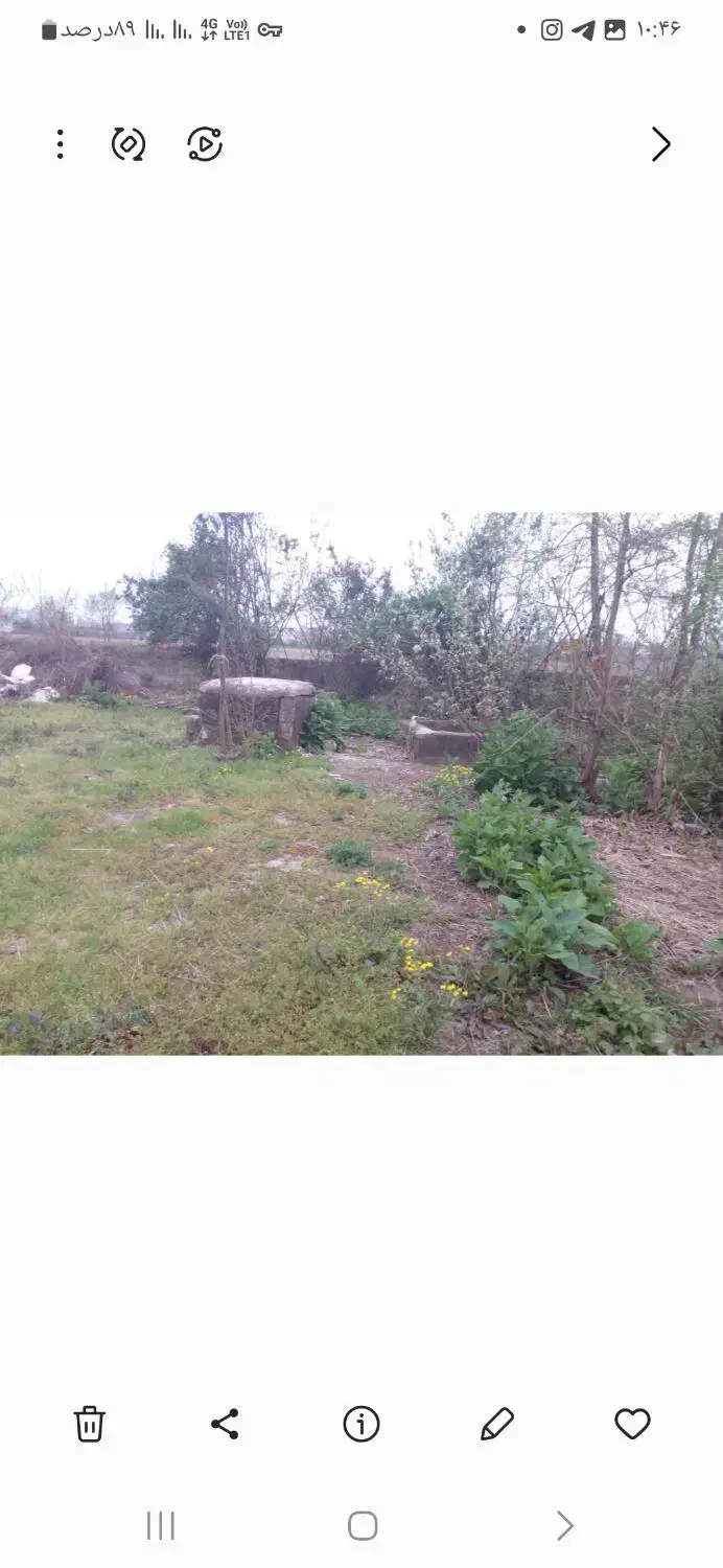 فروش زمین خانه کلنگی|فروش زمین و ملک کلنگی|رشت, لاکان شهر|دیوار